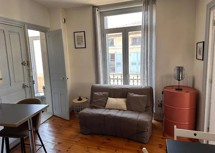 Le Paradis Blanc Apartment Le Puy-en-Velay